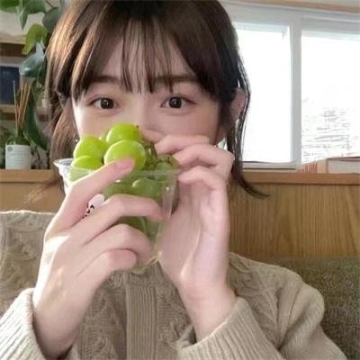 挎斗摩托车里的狗